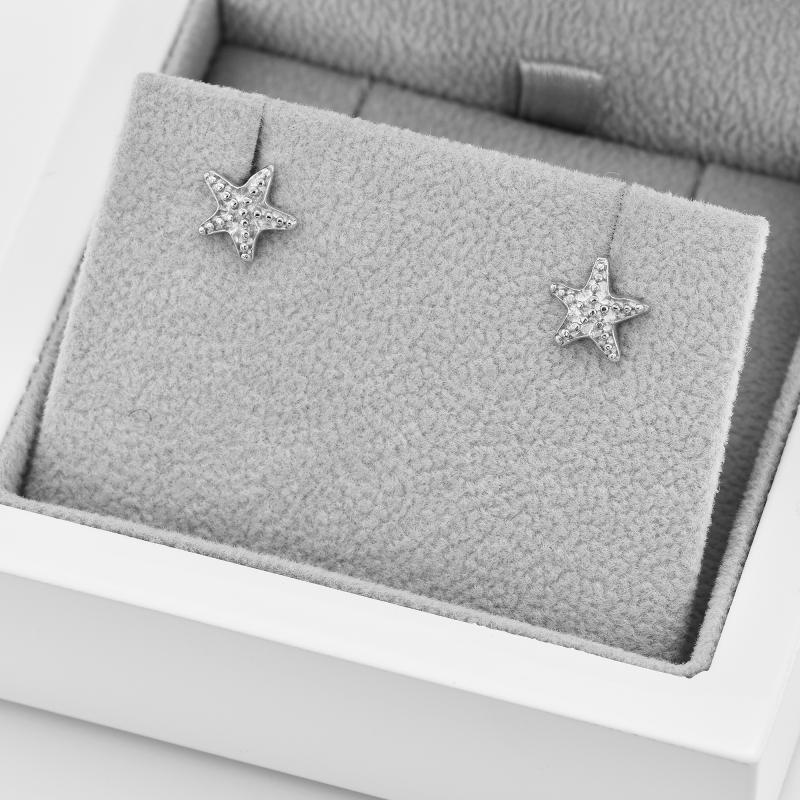 Ohrringe aus Silber 42272