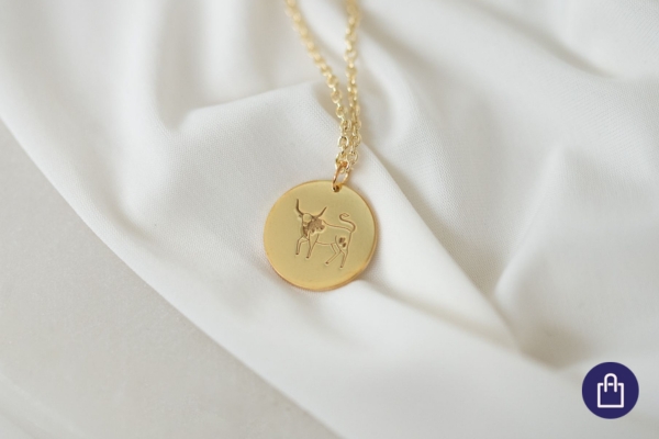 Schmuck im Zeichen des Büffels