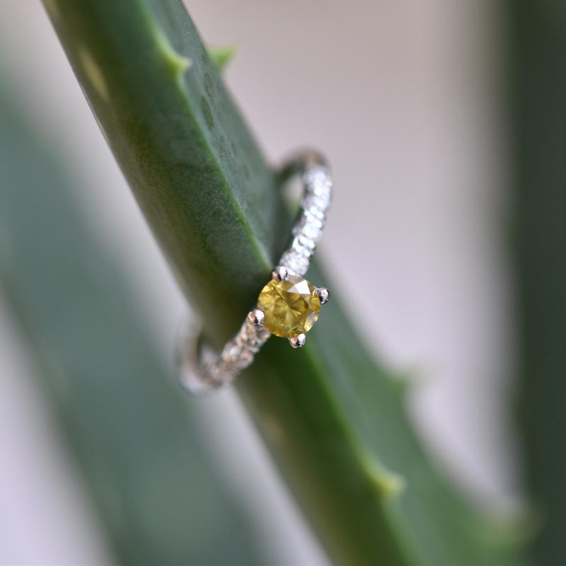 Wunderschöner gelber Diamanten in Goldring 10730