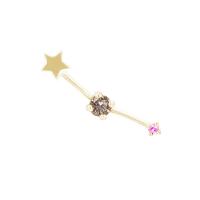 Ohrring mit Sternzeichen Aries